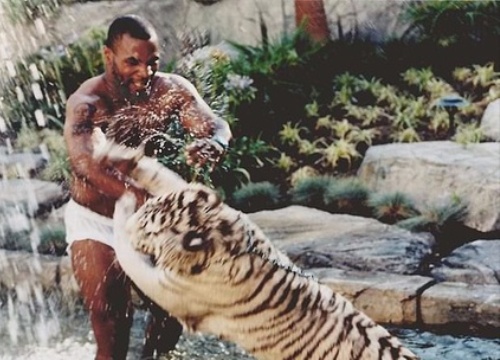 Mike Tyson từng nhốt huấn luyện viên vào chuồng hổ