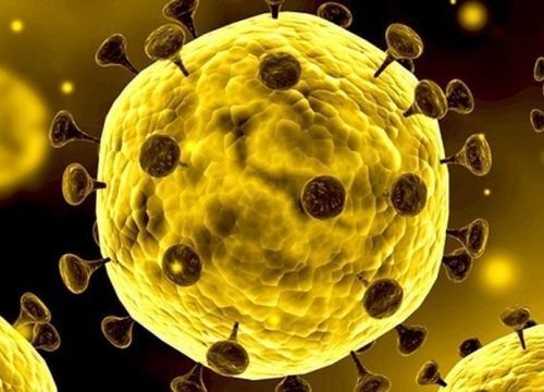 Nóng: Chính thức tìm ra nhiệt độ khiến virus corona bị tiêu diệt hoàn toàn