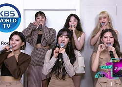 (G)I-DLE giành chiến thắng thứ 2 trên Music Bank, được Apink đích thân tặng hoa chúc mừng, Shuhua sung sướng hét lớn