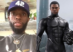 Sốc vì diện mạo Black Panther khi tự cách ly: Còn đâu tài tử body 6 múi của "Avengers", đến Dispatch cũng phải xôn xao