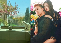 Taeyang (BIGBANG) khoe ảnh cực hiếm góc nhà tân hôn, Knet bỗng quay ra "cà khịa" bà xã minh tinh Min Hyorin