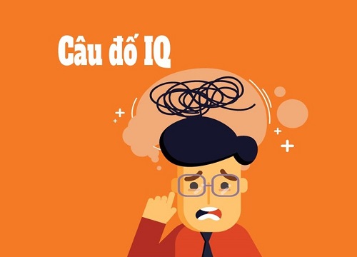 Thử thách IQ với 5 câu đố khó nhằn