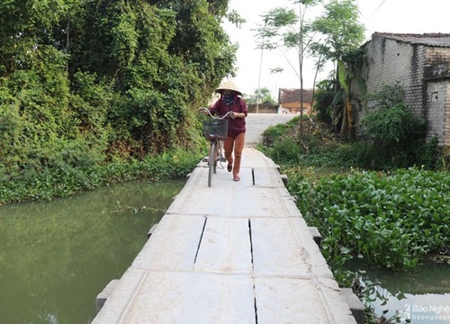 Cận cảnh cây cầu đá trăm tuổi 'có 1 không 2' ở Nghệ An