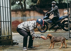 CLIP: Màn trộm chó "siêu tốc" khiến người xem kinh ngạc, tức giận