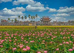 Đẹp 'lịm tim' trước bộ ảnh cánh đồng sen bạt ngàn, đẹp hút hồn trong buổi sáng tinh mơ