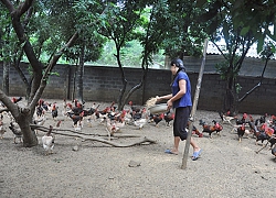 Hợp tác xã teo tóp vì Covid-19 (bài 2): "Cầu cứu" tiêu thụ, vay vốn