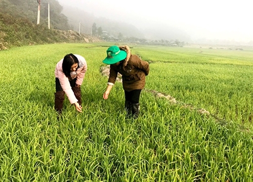 Huy động nguồn lực phòng ngừa và ứng phó hiệu quả tai nạn tàu, thuyền trên biển