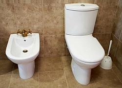 Không mua nổi giấy vệ sinh, người Mỹ chuyển sang sốt&#8230; vòi xịt toilet giữa đại dịch Covid-19: Cháy hàng trên mọi mặt trận