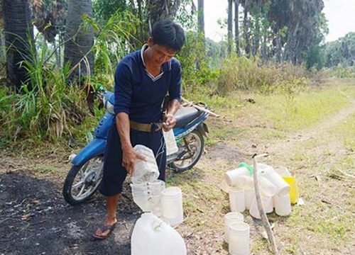 "Lên trời" lấy mật cho đời, ở Việt Nam chỉ ở đây mới có nghề này