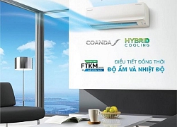 Vì sao khi chọn mua điều hòa không khí, người dùng luôn ưu tiên thương hiệu Daikin?