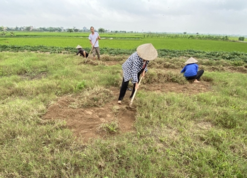 Vụ 'đại gia' Đường Nhuệ: Đấu giá đất có mấy người xăm trổ