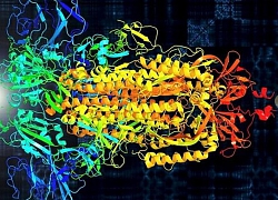 Biến virus SARS-CoV-2 thành âm nhạc để hỗ trợ nghiên cứu