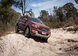 Ford Việt Nam triệu hồi 11.700 xe Ranger và Everest bị lỗi