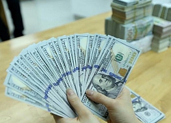 Giá USD tăng mạnh, vàng giảm giá