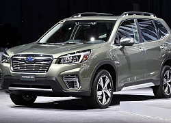 Giảm 165 triệu đồng, giá lăn bánh Subaru Forester còn bao nhiêu?