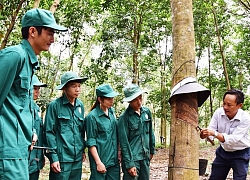 Kon Tum tập trung lãnh đạo tổ chức đại hội điểm đảng bộ cơ sở