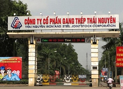 Nguy cơ phá sản, Tisco vẫn đổ thêm gần 70 tỷ đồng vào dự án 'đắp chiếu'