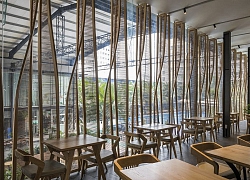 Nhà hàng IPPUDO Vietnam Takashi Niwa Architects