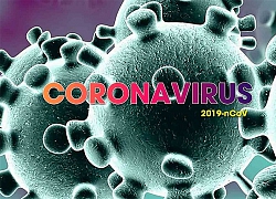 Phát hiện mới về thời gian virus SARS-CoV-2 tồn tại trong cơ thể người