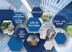 Sam Holdings (SAM): Năm 2020 đặt mục tiêu lãi 124 tỷ đồng giảm 8%