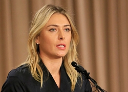 Sharapova chưa hài lòng dù nhận hơn 5 triệu tin nhắn