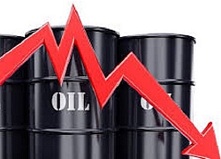 Thị trường ngày 22/4: Giá dầu lao dốc 43%, đường thấp nhất 12 năm