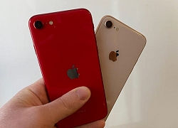 Tôi đã dùng thử iPhone SE (2020) vài giờ và đây là 4 lí do nó vừa rẻ vừa ngon