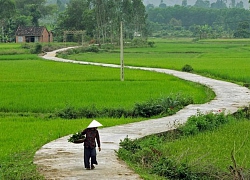 Có nhà để về