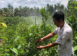 Doanh nghiệp đưa giải pháp chống hạn mặn, nâng cao sản xuất