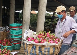 Hỗ trợ doanh nghiệp và người dân vượt qua đại dịch