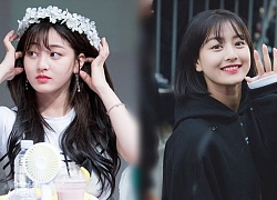 Idol nữ Kpop "lột xác" nhờ tóc ngắn: Jihyo, Wendy đẹp xuất sắc