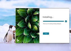 Microsoft phát hành ứng dụng Bing Wallpaper với kho ảnh nền khổng lồ dành cho Windows 10