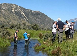 New Zealand cấp học bổng cho lĩnh vực môi trường