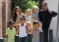 Rộ tin Angelina Jolie nhận nuôi đứa con thứ 7: Lí do khiến Brad Pitt không chịu nổi phải ly hôn là đây?