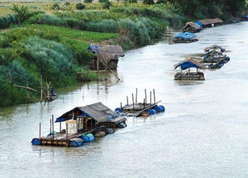 Tìm thấy thi thể người nghi nhảy sông khi cảnh sát vây bắt sới bạc