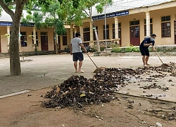 Vắng học sinh, thiên nhiên 'làm loạn': Trường học ngập ngụa cỏ cây sau gần 2 tháng nghỉ dịch