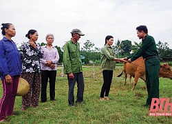 Ban Chỉ huy Quân sự huyện Thọ Xuân xây dựng đơn vị vững mạnh toàn diện