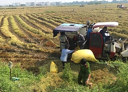 Công an thành phố Huế giúp dân có điểm phơi lúa an toàn