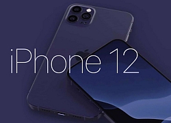 Đã có giá khởi điểm iPhone 12, rẻ bất ngờ