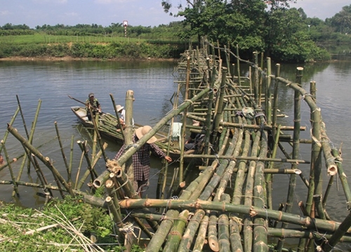 Dân góp tiền làm cầu tre ngăn "cát tặc" trên sông