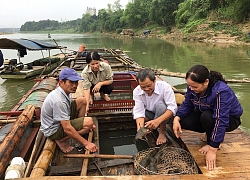 Nuôi loài cá da xù xì, trước kêu là "thủy quái", dân ở đây đổi đời