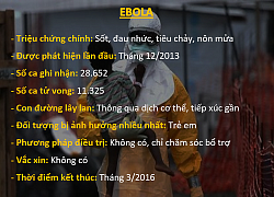 &#8220;Đặt lên bàn cân&#8221; Covid-19 và những đại dịch từng hoành hành trong lịch sử