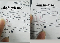 Đỉnh cao của sự lươn lẹo sau mùa thi là đây, thế nên đừng vội so sánh con mình với "con nhà người ta" nữa mẹ nhé!