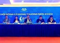 ĐHCĐ Hoàng Quân (HQC): Sẽ đưa cổ phiếu về mệnh giá và chia cổ tức tiền mặt năm 2020