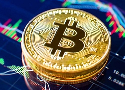 Giá bitcoin hôm nay 28/5: Tăng mạnh trở lại, hiện ở mức 9.206,68 USD