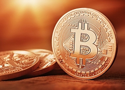 Giá bitcoin hôm nay 29/5: Tiếp tục tăng mạnh, hiện ở mức 9.518,76 USD