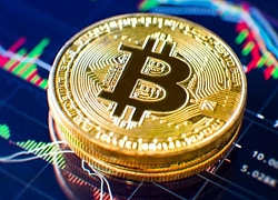 Giá bitcoin hôm nay 30/5: Quay đầu giảm nhẹ, hiện ở mức 9.433,41 USD