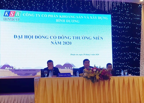 ĐHCĐ KSB: Năm 2020, sẽ hoàn tất chi phối doanh nghiệp đang sở hữu mỏ đá lớn ở Đồng Nai