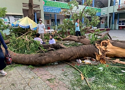 Mất an toàn trường học: Mối lo không chỉ riêng ai