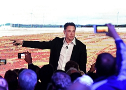 Sự sùng bái Elon Musk đang rạn nứt